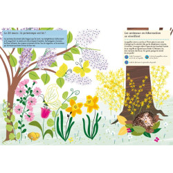 Les quatre saisons - Éditions Amaterra