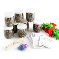 Kit créatif en groupe Mr Patate - Radis et Capucine