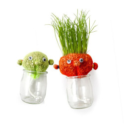 Kit créatif en groupe Mr Patate - Radis et Capucine