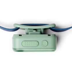 Wiz Kid - Black Diamond -Sage