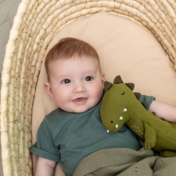 Doudou en coton  Trixie - Dino