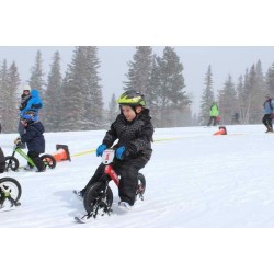 Ski Draisienne Traîneau Hiver Neige Traîneau pour les tout-petits Herbe  Bleu