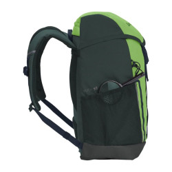 Puck 10 - - Dark Forest