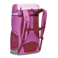 Puck 14 -- Raspberry