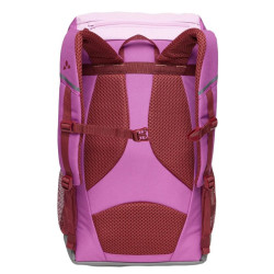 14 - Vaude - Raspberry