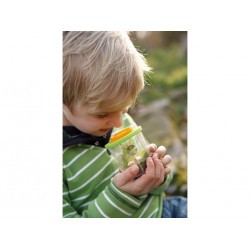 Boîte à insectes avec loupe - Terra Kids de Haba