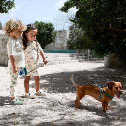 Combinaison bébé anti-UV - Lassig -Chien orange/ocean vert