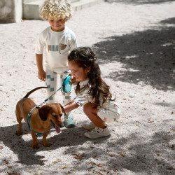 T-shirt de bain anti-uv bébé - Lassig - Beach Chien  marin