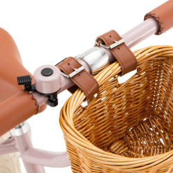 Draisienne Banwood First GO - Pink