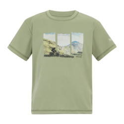 Tee-shirt respirant Alvarado - Regatta - Light Sage
