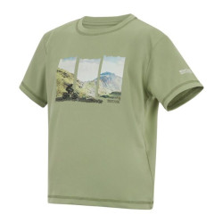 Tee-shirt respirant Alvarado - Regatta - Sage