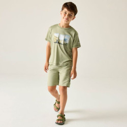 Tee-shirt respirant - Regatta - Light Sage