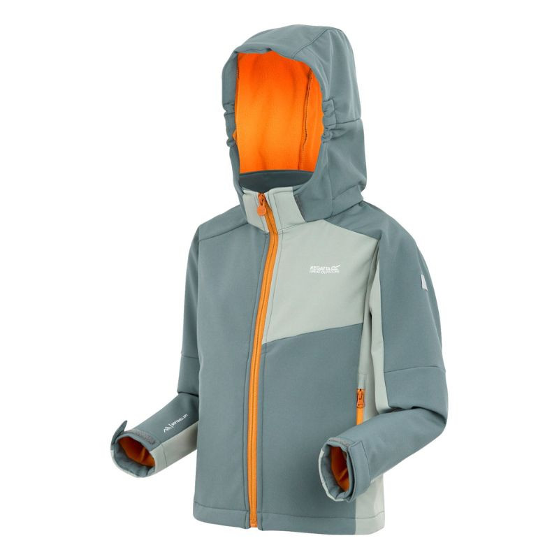 Veste softshell Acidity de Regatta - Coronet Blue /Mnlt