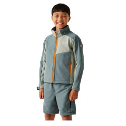 Veste softshell Acidity de Regatta - Coronet Blue