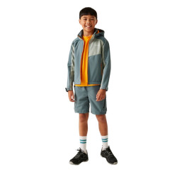 Veste softshell Acidity de Regatta - Coronet