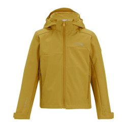 Veste softshell Acidity VIII de Regatta - Brown