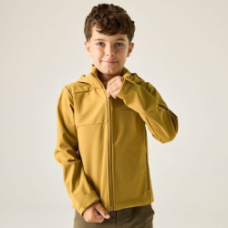 Veste softshell Acidity VIII Regatta - Brown Sage