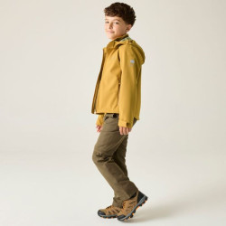 Veste softshell  VIII de Regatta - Brown Sage