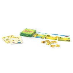 Jeu cartes Kondor - Bioviva