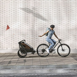 Thule Chariot lite Gen 3 - Vintage Green velo