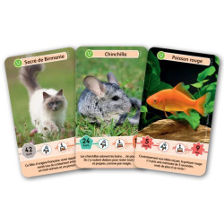 Défis Nature Junior - Fidèles compagnons