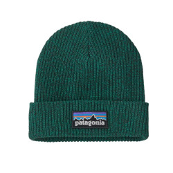 Bonnet Kid's Logo Beanie - Patagonia - P-6 Logo: Solo Teal
