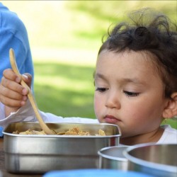 Splash Box - Boîte repas inox - ECOlunchbox