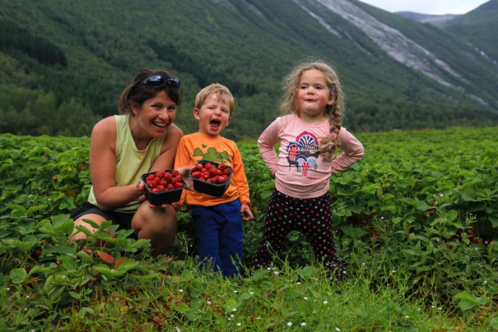 Voyage-Norvege-Famille-Fraises