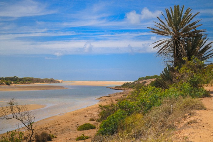 Voyage-famille-Maroc-anti-Atlas-cote-atlantique