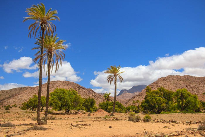 Voyage-famille-Maroc-anti-Atlas-oued