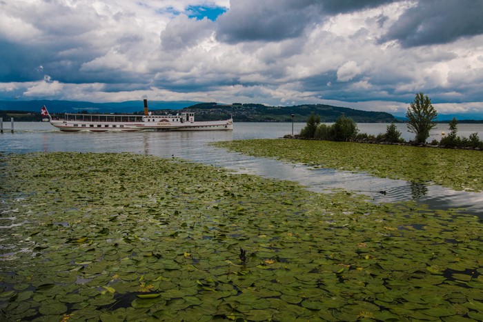 Tour lac Morat vélo