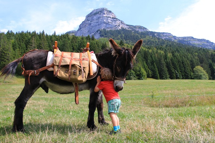 Randonnee ânes enfants calin