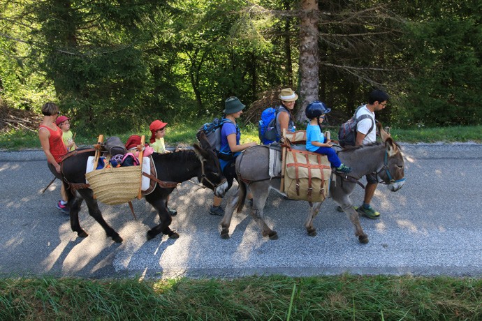 Randonnée anes Saint Pierre d'Entremont