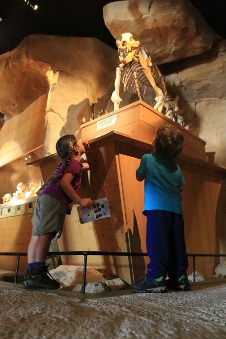 Musée de l'Ours des cavernes