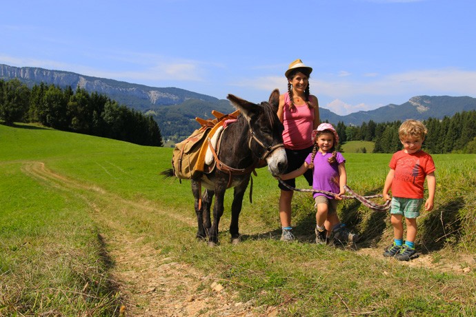 Séjour en famille avec des ânes