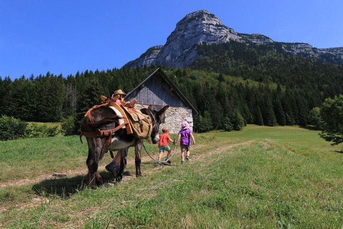 Cirque de la Plage Chartruse