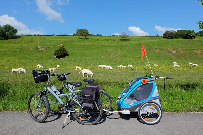 les deux vélos et la carriole arrêtés au bord d'un pâturage.
