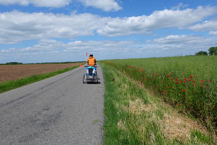 Vélo et carriole à travers un champ de coquelicots.