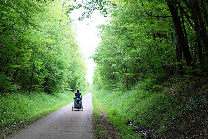 La route se poursuit à bicyclette à travers la forêt