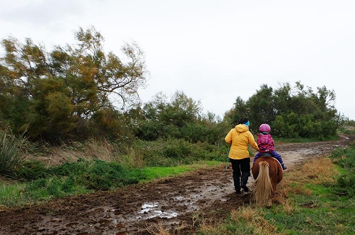 balade en poney en famille en Camargue