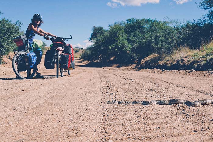 serpent sur la piste lors du voyage à vélo en famille