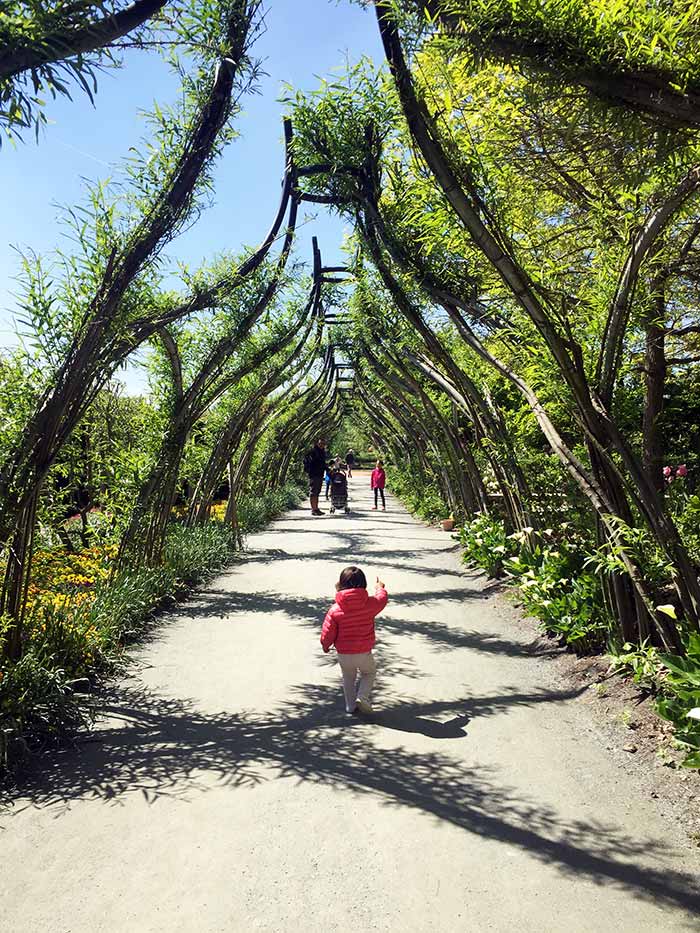 terra botanica sous l'arche végétale