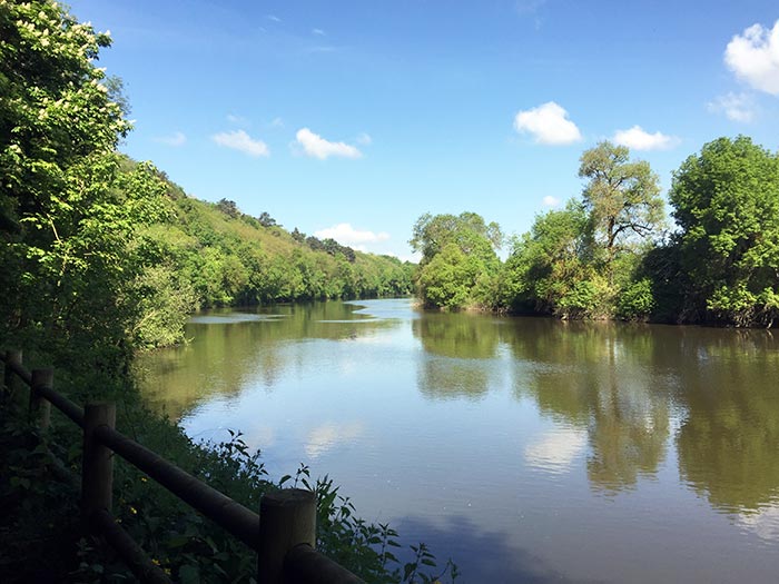 le chemin sur les bords de la Mayenne