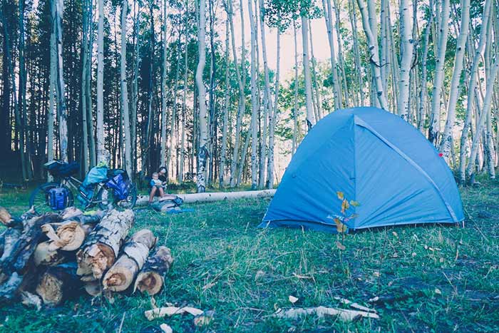 le bivouac est installé dans la forêt