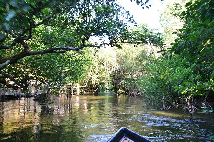 en bateau sur le courant d'huchet