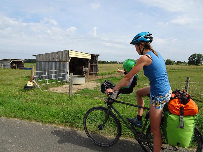 cheval au bord de la voie vélo