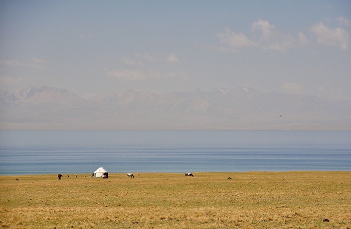 yourte et chevaux au bord d'un lac au Kirghizstan