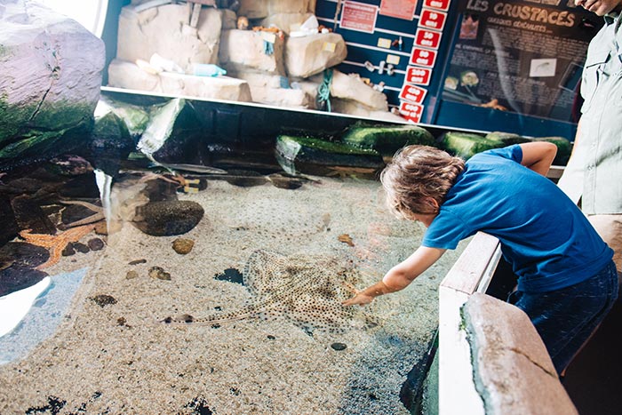 enfant joue avec un poisson à l'aquarium aquashow d'audierne