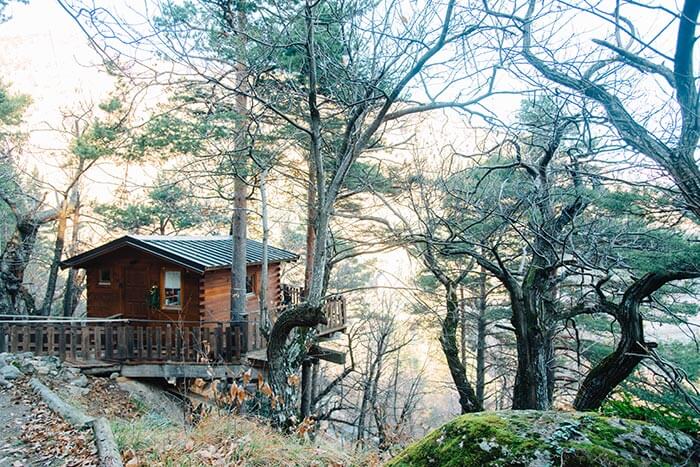 cabane dans les arbres proche  du village de Tende