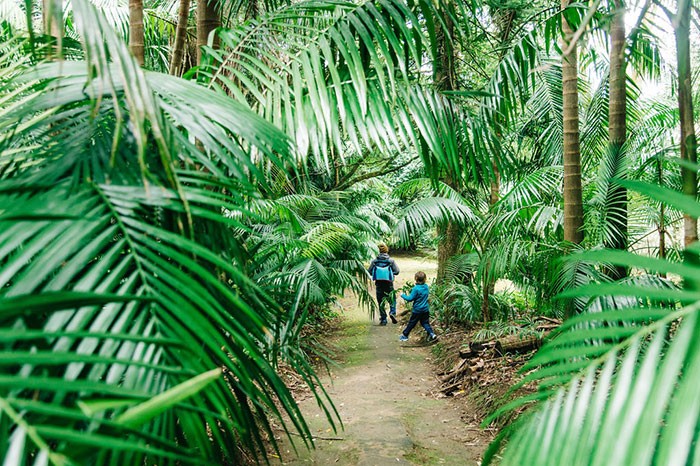 famille qui se promène dans le jardin botanique de Furnas aux Açores